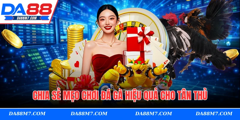 Chia sẻ mẹo chơi đá gà hiệu quả cho tân thủ