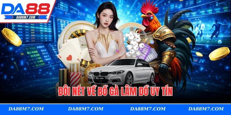 Đôi nét về Bồ Gà Lâm Dồ uy tín