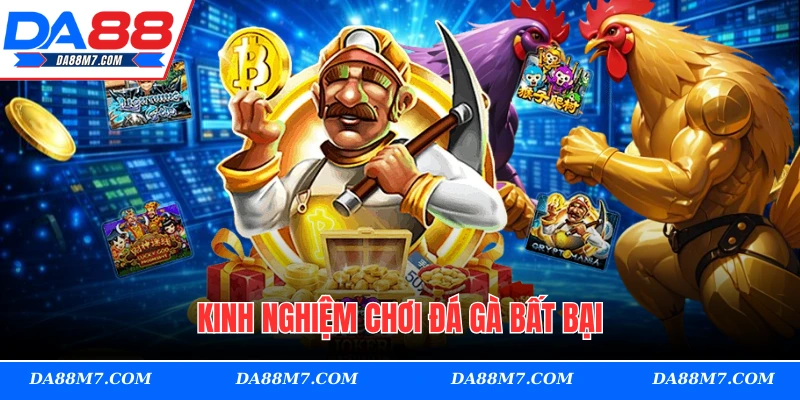 Kinh nghiệm chơi đá gà bất bại