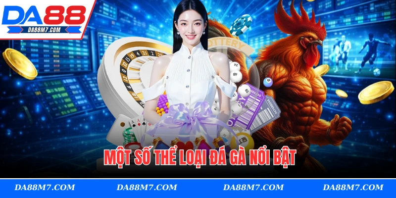 Một số thể loại đá gà nổi bật